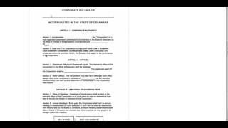 Free Delaware Corporate Bylaws Template  PDF  Word [upl. by Ayifa487]