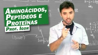 Química  Aminoácidos Peptídeos e Proteínas [upl. by Jorgan]