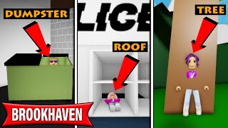 We played Hide and Seek in Brookhaven  Roblox [upl. by Kinsley292]