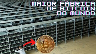 Maiores Mineradoras de Bitcoin do Mundo [upl. by Olihs]