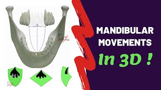 Mandibular Movements in 3D  SUPER EASY [upl. by Odraboel]