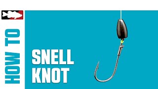 HowTo Tie a Snell Knot [upl. by Matteo]