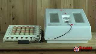 Professional Egg Incubator Kit With Turner [upl. by Ahseei948]