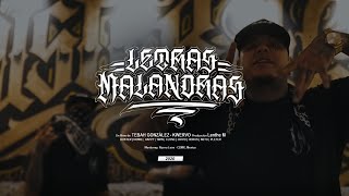 Neto Reyno  Letras Malandras Video Oficial [upl. by Nameloc7]