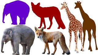 100 Animals in Chinese  一百種動物的中文名稱  Educational Video For Kids to Learn Chinese [upl. by Jermyn269]