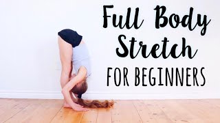 Beginner Stretches for Flexibility [upl. by Florella]