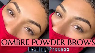 Ombré Brows Healing Process  1 Month After😻 [upl. by Jaquiss]