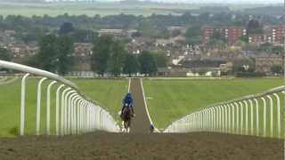 Newmarket  Made for the Racehorse Short version [upl. by Winser]