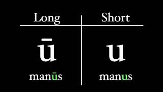 The Latin Alphabet  Vowel Pronunciation [upl. by Ulysses]