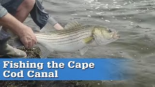 Fishing the Cape Cod Canal  S16 E4 [upl. by Vogele]