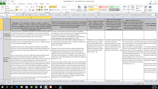 How to Create a Literature Matrix Excel [upl. by Haropizt805]