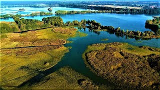 Rhythmen der Natur Im Bartschbruch  Tier und Natur Doku Ganzer Film Deutsch German [upl. by Hussey737]