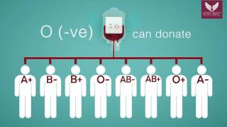 Blood Donation Guide [upl. by Plafker]