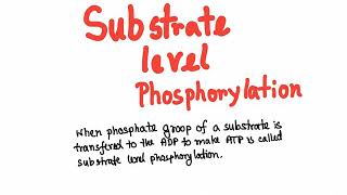 Glycolysis substrate level phosphorylation [upl. by Xirtaeb39]