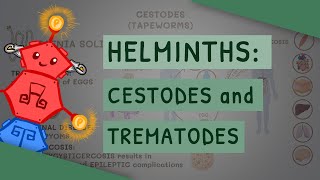 Helminths Cestodes and Trematodes transmission clinical importance and treatment [upl. by Akkire960]