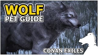 WOLF  Pets Guide  CONAN EXILES [upl. by Gibb]