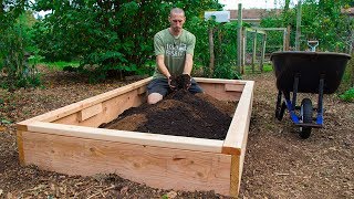 How to Build a Raised Bed CHEAP and EASY Backyard Gardening [upl. by Ahsemac]