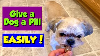 How I Give My Picky Dog Her Pills Works EVERY TIME [upl. by Ardnajela]