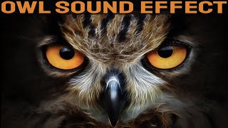 Owl Sounds  Owls Call Sound Effect At Night [upl. by Pirbhai]