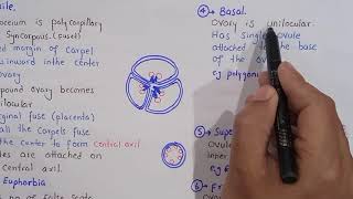 placentation and its types in plants  class bsc Botany [upl. by Fionna]