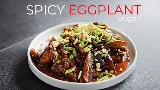 EASY Spicy Braised Eggplant Recipe [upl. by Donegan313]