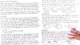 Conjugation Transformation and Transduction [upl. by Sandie]