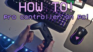 How To PROPERLY Setup The Nintendo Switch Pro Controller on PC [upl. by Drapehs]