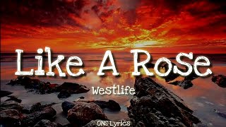 A1  Like A Rose Lyrics [upl. by Aratehs]