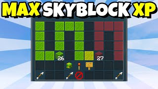 The FASTEST Way to Get Skyblock XP Hypixel Skyblock News [upl. by Rod]