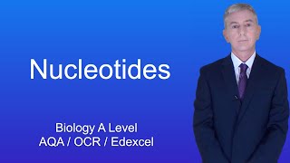 A Level Biology Revision quotNucleotidesquot [upl. by Loella]