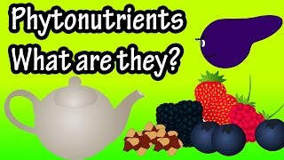 What are Phytochemicals or Phytonutrients [upl. by Kerns611]