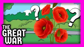 Why do we wear poppies [upl. by Ahsimik]