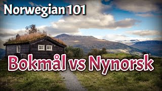 Bokmål vs Nynorsk [upl. by Gowrie237]