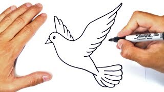 How to draw a Dove Step by Step  Dove Drawing Lesson [upl. by Airec53]