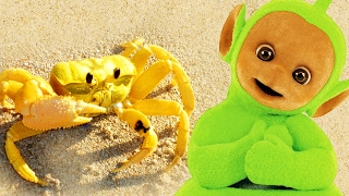 Teletubbies Digging In Sand  Crabs  134  Videos For Kids [upl. by Frost523]