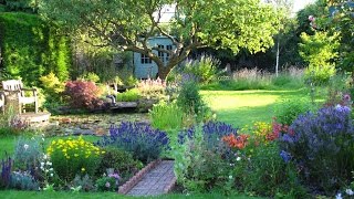 The Cottage Garden in Surrey  An English Country Garden Through the Seasons [upl. by Ailati]