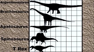 Dinosaur Size Comparison 2D [upl. by Weide]