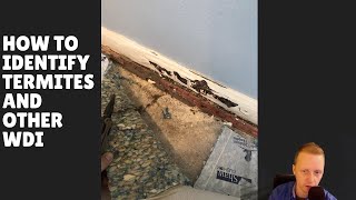 How to identify termites and other wood destroying insects  The Houston Home Inspector [upl. by Naujek]