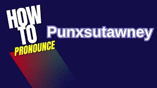 How to Pronounce Punxsutawney [upl. by Boyse]