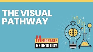 Visual Pathway Mnemonics Memorable Neurology Lecture 10 [upl. by Ssyla]