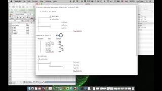 Construct a morphologicallybased phylogenetic tree [upl. by Yahiya]