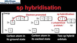 S2216 Hybridisation HL [upl. by Lapointe48]