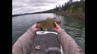 Idaho bass fishing lake Coeur D Alene [upl. by Karub]