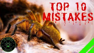 TOP 10 Mistakes Keeping Tarantulas amp Spiders  DONT DO THIS [upl. by Orimisac]