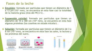 Tecnología de Productos Lácteos [upl. by Htur]