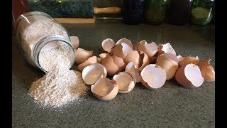 Health Benefits of Egg Shells [upl. by Ereveneug]