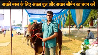 16 लीटर दूध के रिकॉर्ड वाली साहीवाल गाय का बेहतरीन साहीवाल बुल  Top Sahiwal Bull From Haryana [upl. by Linette735]