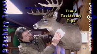 How to clean a Taxidermy Mount  Fred Trosts Practical Sportsman Tip 2000127 [upl. by Errised]