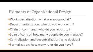 Principles of Management Organizational Design [upl. by Fahy]