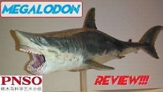 PNSO Megalodon Review [upl. by Remington]